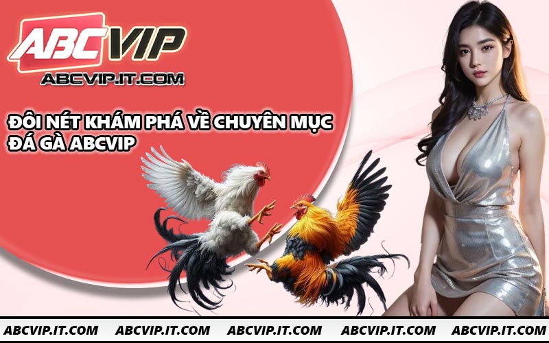 Đôi nét khám phá về chuyên mục đá gà ABCVIP