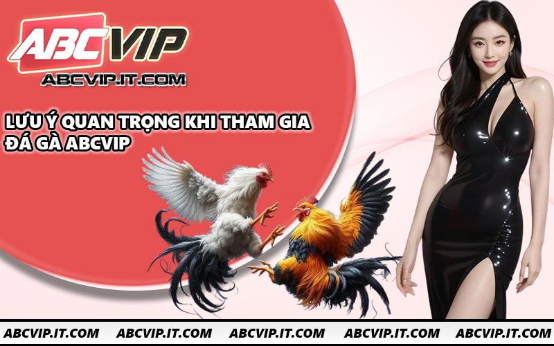 Lưu ý quan trọng khi tham gia đá gà ABCVIP